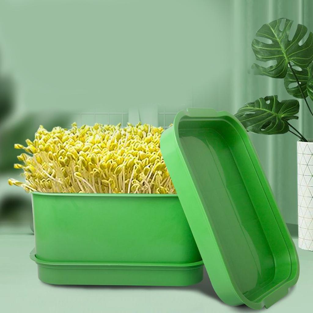 Plastic Sprouting Tray Kit Microgreens Growing Trays for Sprouting Seeds Beans Wheatgrass Sprout Maker Container