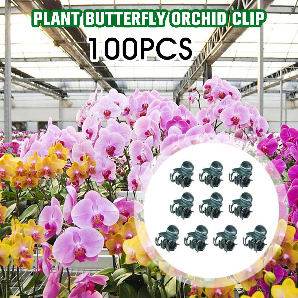 Клипсы-бабочки для вьющихся растений, крючок-зажим для лозы, садовый зажим для поддержки, вертикальный зажим для роста стеблей цветущих растений из ротанга J5F4