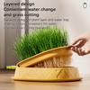 Pineapple Shape Cat Grass Planting Box Planting Hydroponics Box Soilless Hydroponic Cat Grass Case Cat Grass Planter Tray