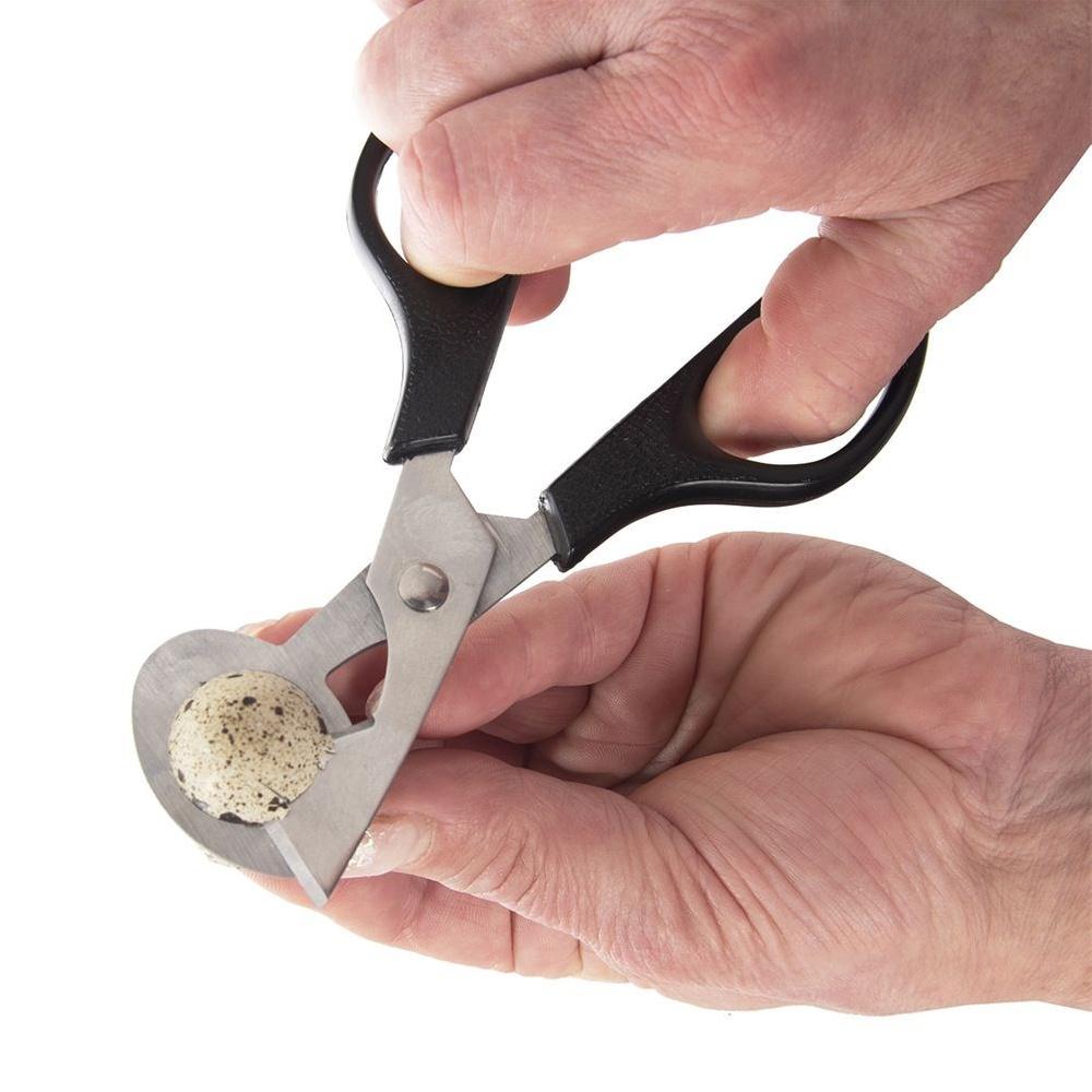 Stainless Steel Quail Egg Scissors Cutter 14.5cm