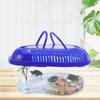 1PC Plastic Goldfish Feeding Box Household Spider Jar Turtle Tank Reptile Container Turtle Habitat