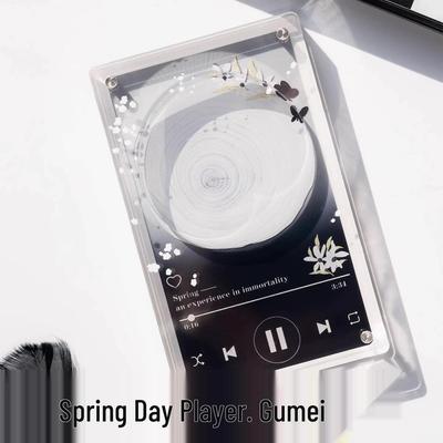 Летнее цветение Держатель значка для CD-плеера: Акриловая подставка для пластинок