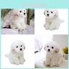 Очаровательная белая мальтийская плюшевая игрушка, наполнена волокном, длинношерстное чучело животного, 33x24x16см/38x26x21см