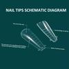 Двойные формы системы наращивания ногтей, шпильки/гроб/миндалевидные формы с полным покрытием для ногтей, УФ-гель, пластиковые формы для быстрого наращивания накладных ногтей