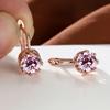 Rose Gold Color Round Cut Pink Red Blue Rainbow Birthstone Drop Dangle Earrings Eight Claw Stud Hook Earrings Jewelry