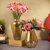 Set of 2 Decorative Glass Vase for Flowers Home Decor (Flowers Not Included)