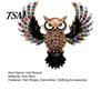 Decorative Clothing Accessory Colorful Rhinestone Owl Brooch Pin, Bird Shape Lapel Pin for Suit Dress Scarf Hat Bag Decoration, Gift Men Women