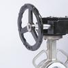Stainless Steel Worm Gear PTFE Butterfly Valve with Double Flange and Manual Handle D371F-10P