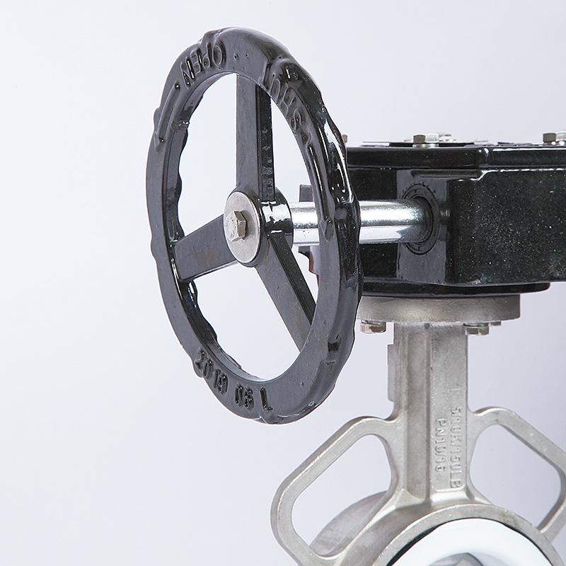 Stainless Steel Worm Gear PTFE Butterfly Valve with Double Flange and Manual Handle D371F-10P
