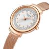 Brand Ladies Watch Fashion Diamond Dial Milan Mesh Watch for Women Waterproof Rose Gold Clock