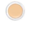 UnCoverup Concealer