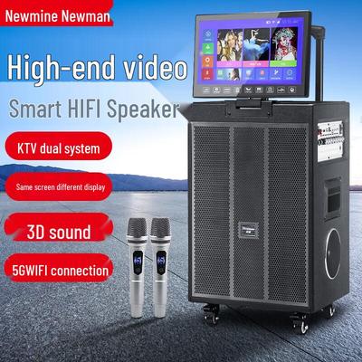 Портативная Bluetooth-колонка KTV Karaoke Newmine N517, штекер CN (адаптер в комплекте)