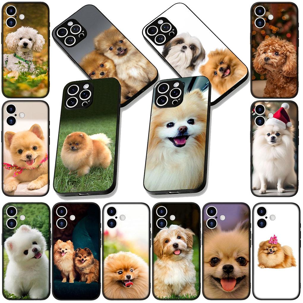 Soft Cover for Samsung Galaxy S22 S21 S20 FE Ultra Plus A35 A36 A55 A37 A33 A34 A57 Coque Phone Case Pomeranian Poodle Dog