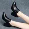 Block Heel Single Shoes Woman High Heels Women Pumps Spring /Fall Work Shoes Pointed Toe Female Footware Side Zip Black