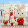 Strawberry Adorable Bunny Plush Toy Cute Ornaments And Pillow Gift Girls For
