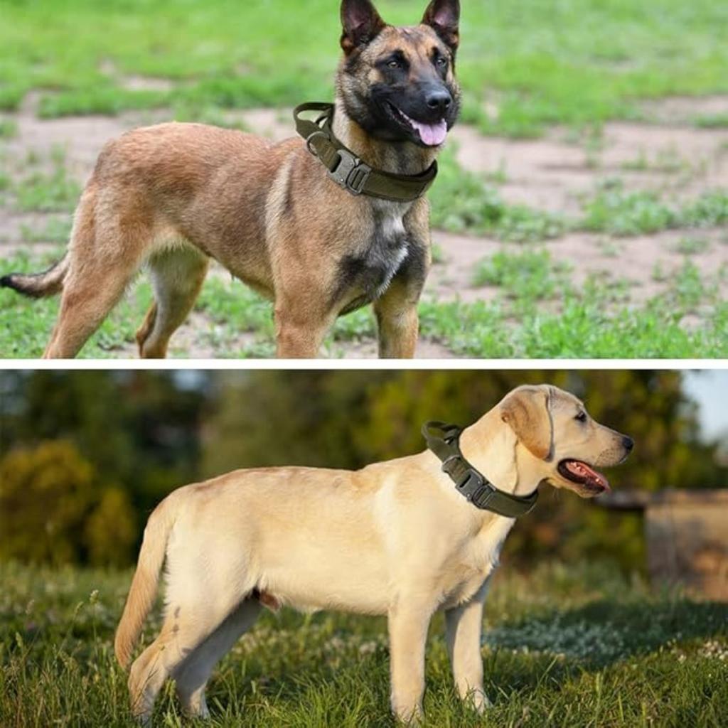 Тактический ошейник для собак Plutus Pet, с мягкой подкладкой, регулируемый