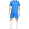 Nike Мужские быстросохнущие футбольные тренировочные шорты Dri-FIT синие BV6855-463