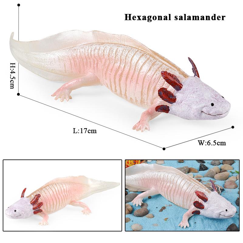 Oenux Амфибии Водное животное Тритон Саламандра Cryptobranchoidea Животные Модель Фигурка Действия Образование Милая Детская Игрушка Подарок
