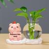Desktop Decorative Hydroponic Ornaments