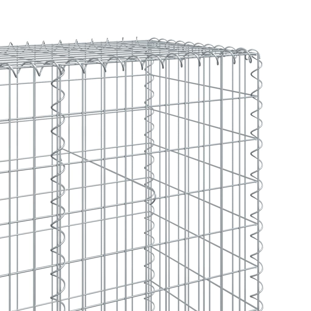 Gabion with Lid 800 x 50 x 200 cm Galvanized Iron