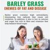 250g Organic Barley Grass Powder original moistening intestines