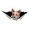Australian Cattle Dog Car Stickers, Weather-Resistant Vinyl Stickers for Windows, Bumper Crafts - PVC Material Vehicle Decals