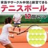 Восточные сокровища Набор теннисных мячей 12 штук для практики начинающих Портативные Упругие для отработки ударов о стену Для улицы В комплекте сумка для хранения