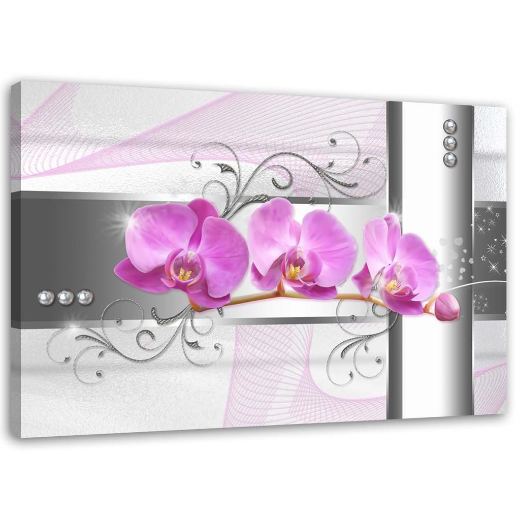 Canvas Print, Orchids Flowers Nature Pink