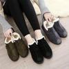 Autumn and Winter Cotton Shoes Female Winter Warm Plus Velvet Korean Version of A Hundred Casual Shoes A Foot Stirrups