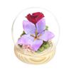 Offering Glass Dome Four Seasons and Calendar Glass Dome Nagatsuki