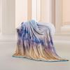 Mercury Home Textiles All-Season Cloud Soft Blanket