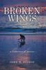 Книга Broken Wings : A Collection of Stories