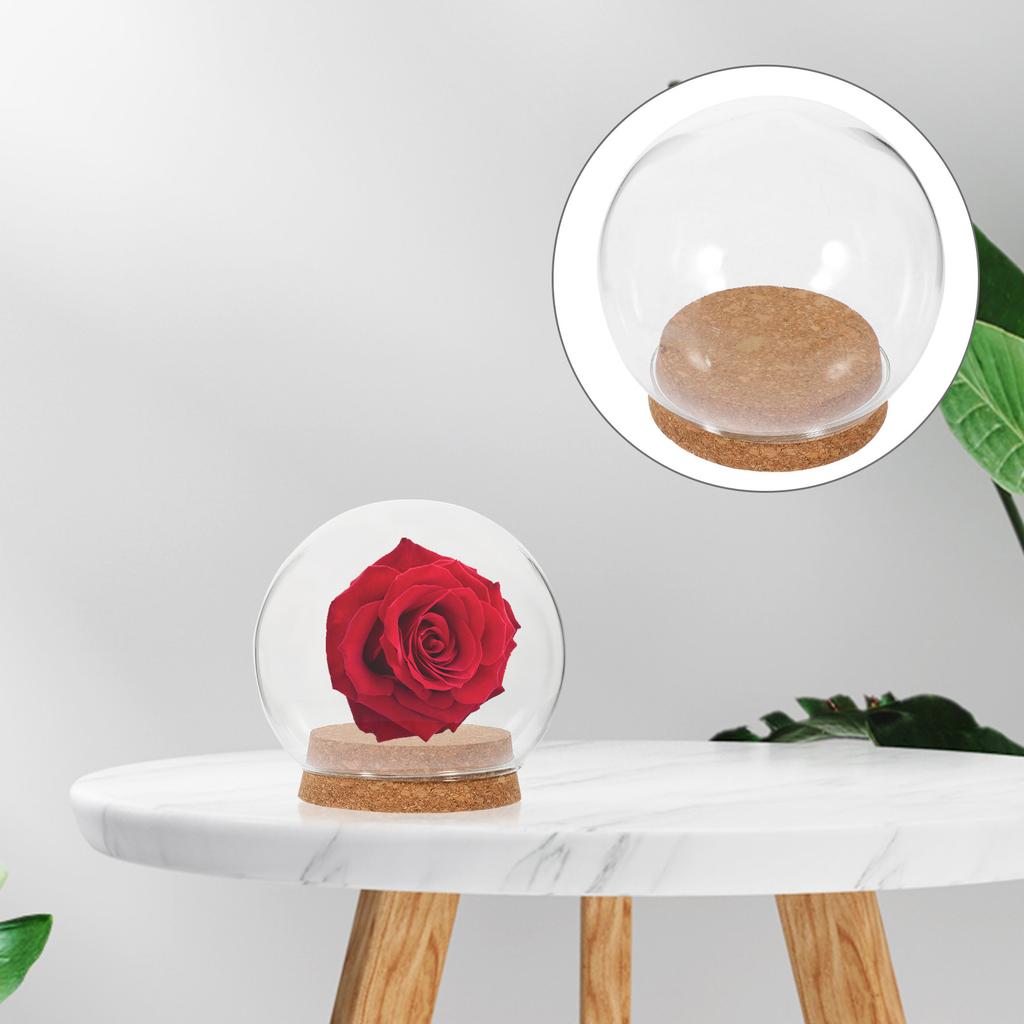 5 Pcs Preserved Flower Adornment Immortal Glass Hood Container Dome with Base Child Empty Water Globe Vase