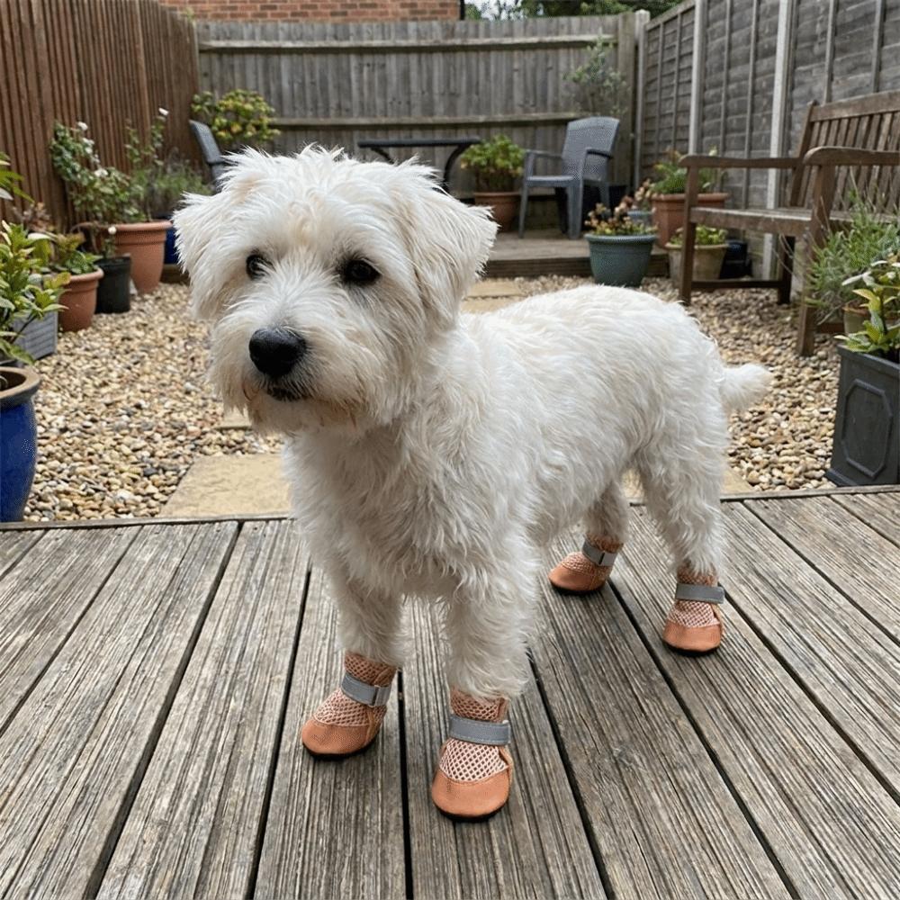 4PCS/SET Non-Slip Pet Mesh Shoes Wear-Resistant Pet Paw Protector Pet Footwear Outdoor Use