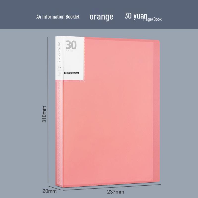 Папка А4 многослойная: Органайзер для тестовых листов большой вместимости для осмотров во время беременности