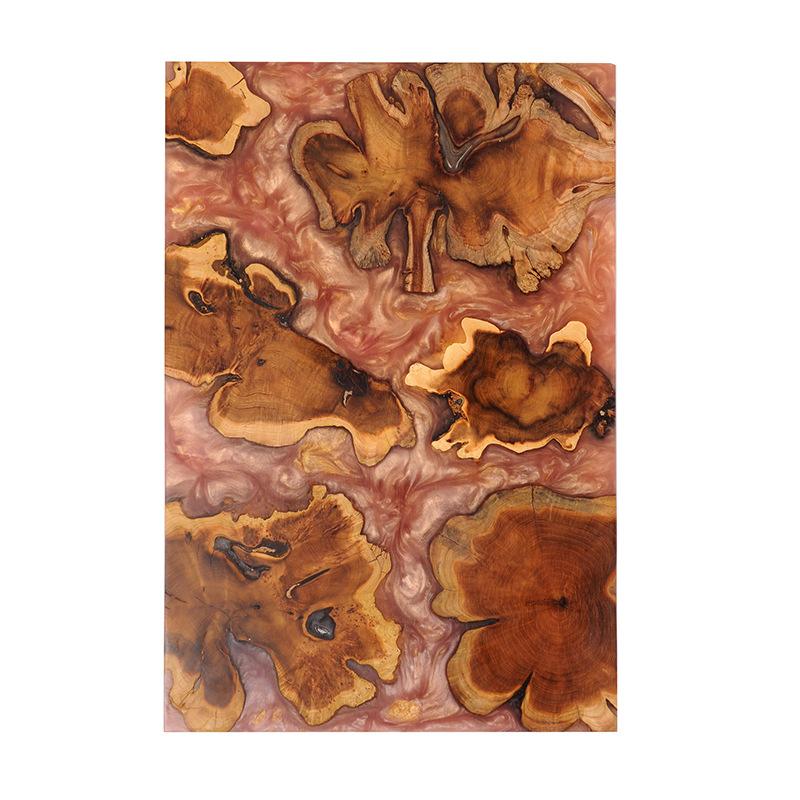 Двусторонняя разделочная доска из смолы для кемпинга, разделочная доска из цельного дерева, кухонные принадлежности, антипылевое покрытие, кухонные инструменты