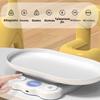Tare Function Electronic Weight Scale Detachable Tray Kitchen Scale  For Small Pet