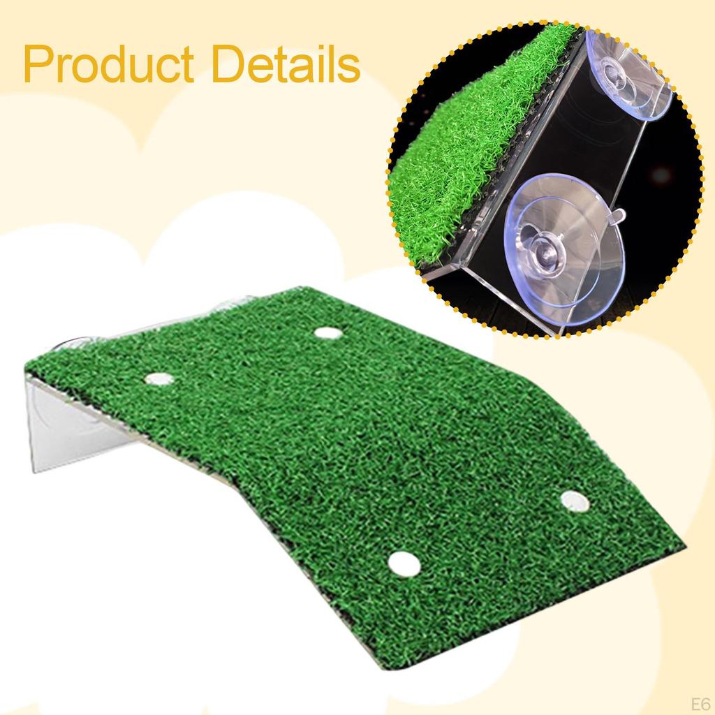 Turtle Basking Platform Accessories Aquarium Feeding Resting Decorative Multi Functional Supplies