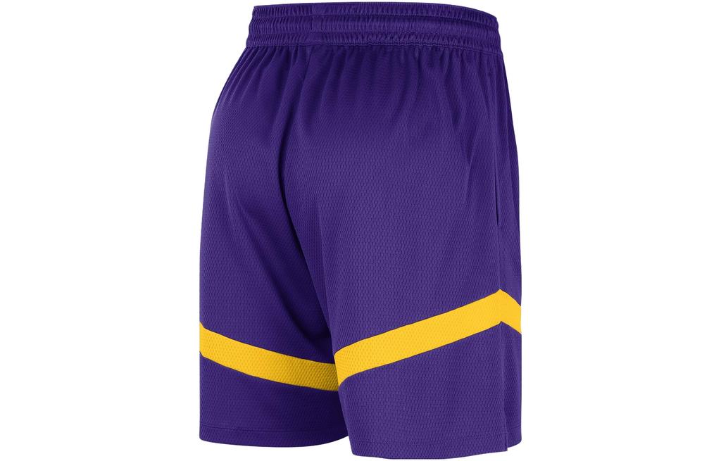 Nike Баскетбольные шорты мужские темно-фиолетовые DZ3722-504