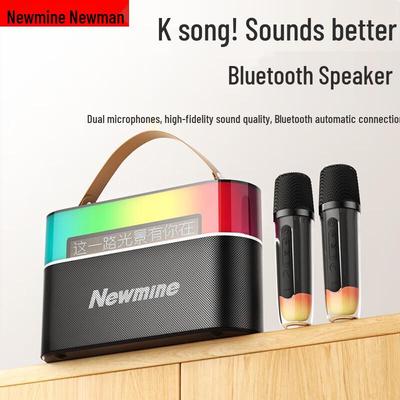Портативная Bluetooth-колонка KTV Newman MC75 с двумя микрофонами, штекер CN (адаптер в комплекте)