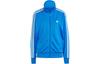 adidas Оригиналы Adicolor Classics Свободная спортивная кофта Firebird Синий IP0603