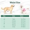 Female Dog Diapers Reusables Doggies Period Diapers Washable Dog Nappy Pants During Heat Cycle or Issue