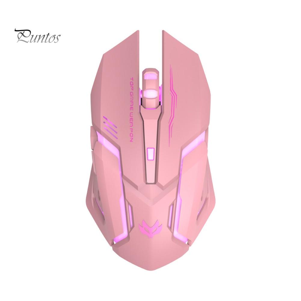 Puntos Rechargeable T1 Ergonomic 2.4G Silent Backlit USB Optical Wireless Gaming Mouse