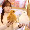 Kids Doll Kids Toys Bird Plush Toy Simulation Birds Doll Kiwi Bird Plush Toy Zealand Bird Plush Toy