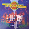 12-дюймовая пластинка YELLOWMAN Blueberry Hill GRED219 Greensleeves Re 1987 UK Reggae Ska Dub Б/у