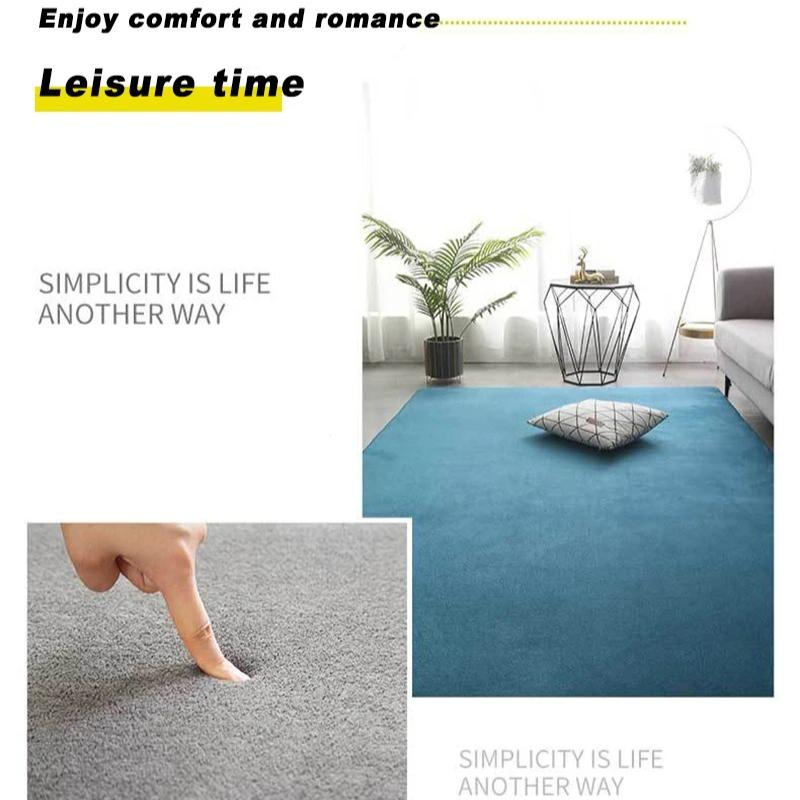 2025 Carpet Living Room Simple Modern Bedroom Plush Carpet Nordic Tatami Carpet