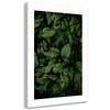 Canvas Print, Dark Green Leaves