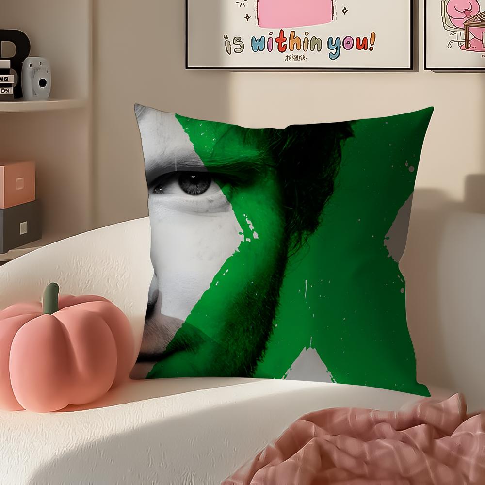 Melodic Pop British Singer EEd Sheeran Cushion Cover Pillowcase Short Plush Invisible zipper Room Sofa Cushion Cover