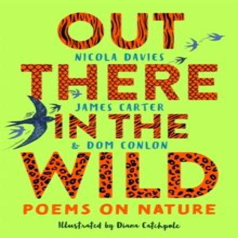 Out There in the Wild by Nicola Davies Paperback Book 9781035004072