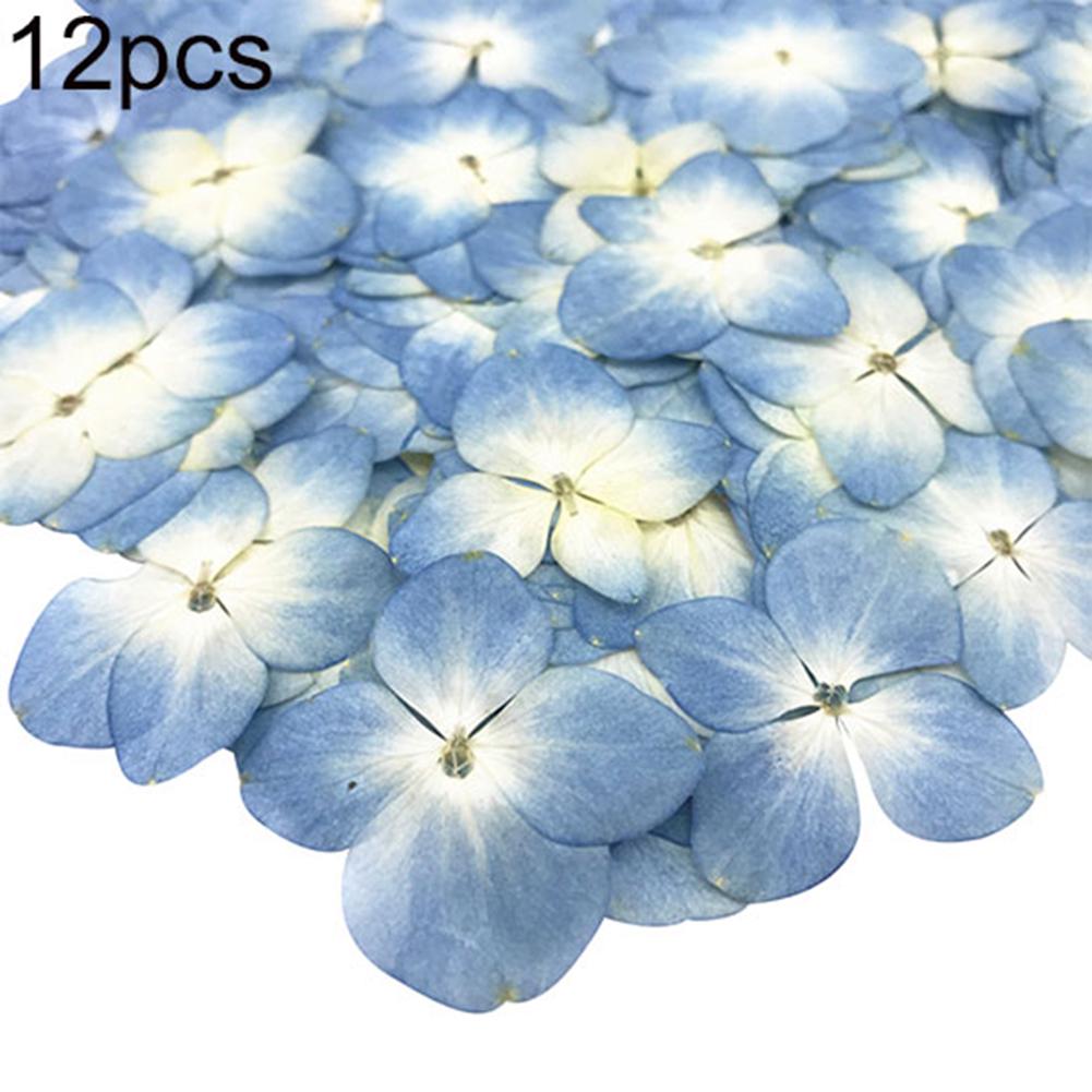Yousheng Dried Flower 12Pcs Pressed Plant Specimen Epoxy Resin Phone Decor DIY Accessory